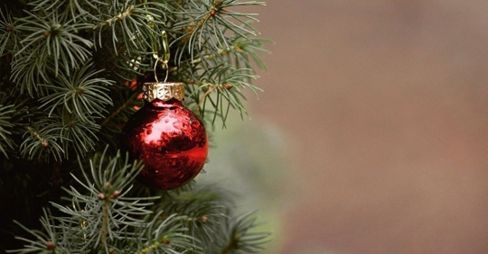 red ornament on a christmas tree