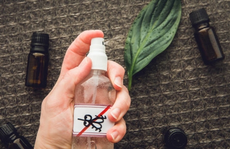 DIY pest spray